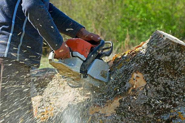 Soil Testing and Treatment in Roland, OK